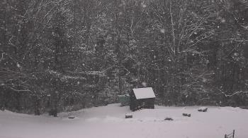 Weather camera view of John Dorr Nature Lab-Horace Mann School.