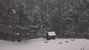 Weather camera view of John Dorr Nature Lab-Horace Mann School.