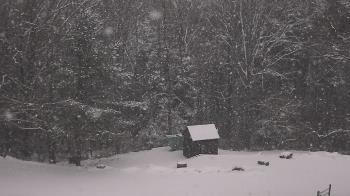 Weather camera view of John Dorr Nature Lab-Horace Mann School.