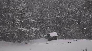 Weather camera view of John Dorr Nature Lab-Horace Mann School.