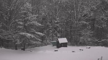 Weather camera view of John Dorr Nature Lab-Horace Mann School.