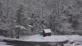 Weather camera view of John Dorr Nature Lab-Horace Mann School.