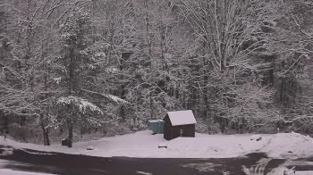 Weather camera view of John Dorr Nature Lab-Horace Mann School.