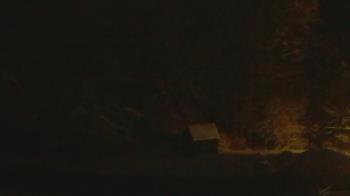 Weather camera view of John Dorr Nature Lab-Horace Mann School.