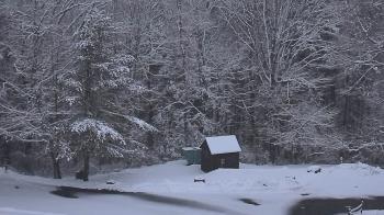 Weather camera view of John Dorr Nature Lab-Horace Mann School.