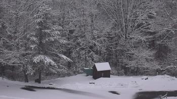 Weather camera view of John Dorr Nature Lab-Horace Mann School.