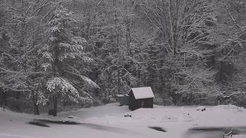 Weather camera view of John Dorr Nature Lab-Horace Mann School.