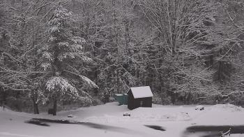 Weather camera view of John Dorr Nature Lab-Horace Mann School.