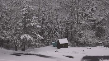 Weather camera view of John Dorr Nature Lab-Horace Mann School.