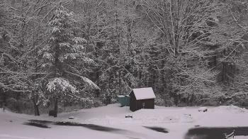 Weather camera view of John Dorr Nature Lab-Horace Mann School.