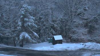 Weather camera view of John Dorr Nature Lab-Horace Mann School.