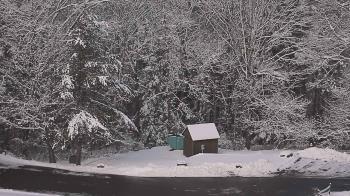 Weather camera view of John Dorr Nature Lab-Horace Mann School.