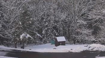 Weather camera view of John Dorr Nature Lab-Horace Mann School.