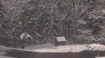 Weather camera view of John Dorr Nature Lab-Horace Mann School.