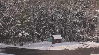 Weather camera view of John Dorr Nature Lab-Horace Mann School.