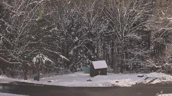 Weather camera view of John Dorr Nature Lab-Horace Mann School.