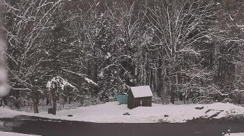 Weather camera view of John Dorr Nature Lab-Horace Mann School.