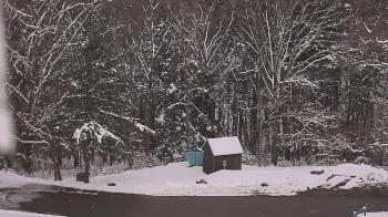 Weather camera view of John Dorr Nature Lab-Horace Mann School.