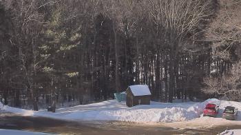 Weather camera view of John Dorr Nature Lab-Horace Mann School.