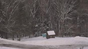 Weather camera view of John Dorr Nature Lab-Horace Mann School.