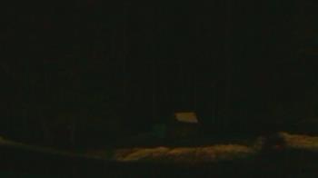 Weather camera view of John Dorr Nature Lab-Horace Mann School.