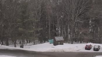 Weather camera view of John Dorr Nature Lab-Horace Mann School.