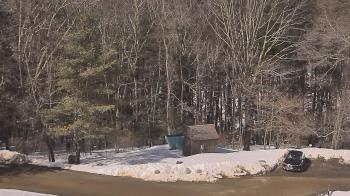 Weather camera view of John Dorr Nature Lab-Horace Mann School.