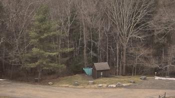 Weather camera view of John Dorr Nature Lab-Horace Mann School.