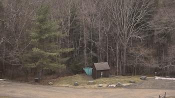 Weather camera view of John Dorr Nature Lab-Horace Mann School.