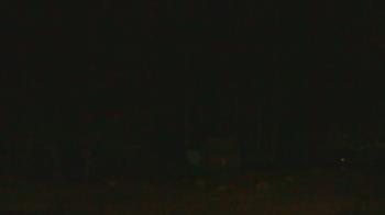 Weather camera view of John Dorr Nature Lab-Horace Mann School.