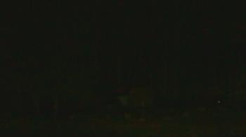 Weather camera view of John Dorr Nature Lab-Horace Mann School.