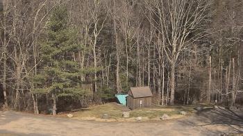 Weather camera view of John Dorr Nature Lab-Horace Mann School.