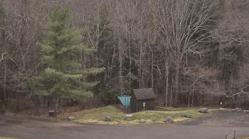 Weather camera view of John Dorr Nature Lab-Horace Mann School.