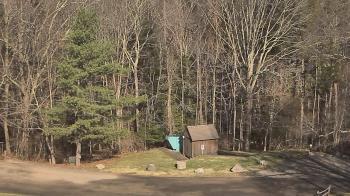 Weather camera view of John Dorr Nature Lab-Horace Mann School.