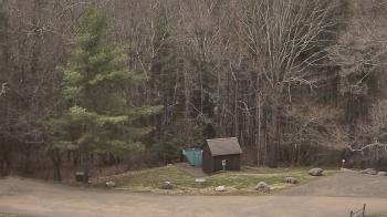 Weather camera view of John Dorr Nature Lab-Horace Mann School.