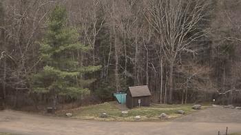 Weather camera view of John Dorr Nature Lab-Horace Mann School.