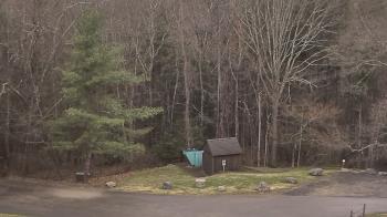 Weather camera view of John Dorr Nature Lab-Horace Mann School.