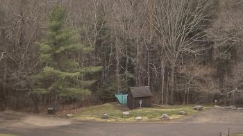 Weather camera view of John Dorr Nature Lab-Horace Mann School.