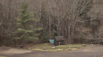 Weather camera view of John Dorr Nature Lab-Horace Mann School.