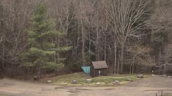 Weather camera view of John Dorr Nature Lab-Horace Mann School.