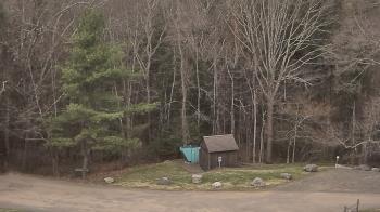Weather camera view of John Dorr Nature Lab-Horace Mann School.