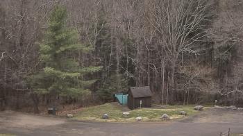 Weather camera view of John Dorr Nature Lab-Horace Mann School.