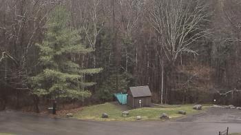 Weather camera view of John Dorr Nature Lab-Horace Mann School.