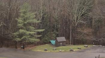 Weather camera view of John Dorr Nature Lab-Horace Mann School.