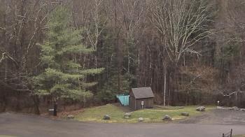 Weather camera view of John Dorr Nature Lab-Horace Mann School.