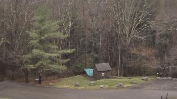 Weather camera view of John Dorr Nature Lab-Horace Mann School.