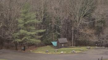 Weather camera view of John Dorr Nature Lab-Horace Mann School.