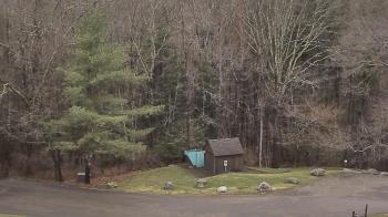 Weather camera view of John Dorr Nature Lab-Horace Mann School.