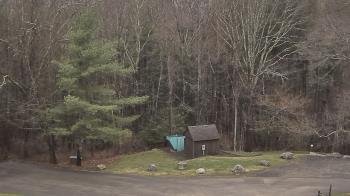 Weather camera view of John Dorr Nature Lab-Horace Mann School.