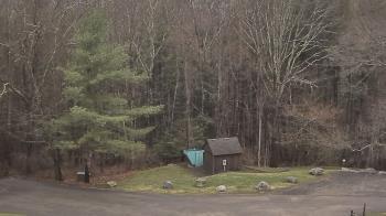 Weather camera view of John Dorr Nature Lab-Horace Mann School.